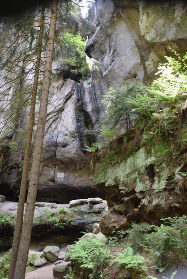 Cosis Hohnstein