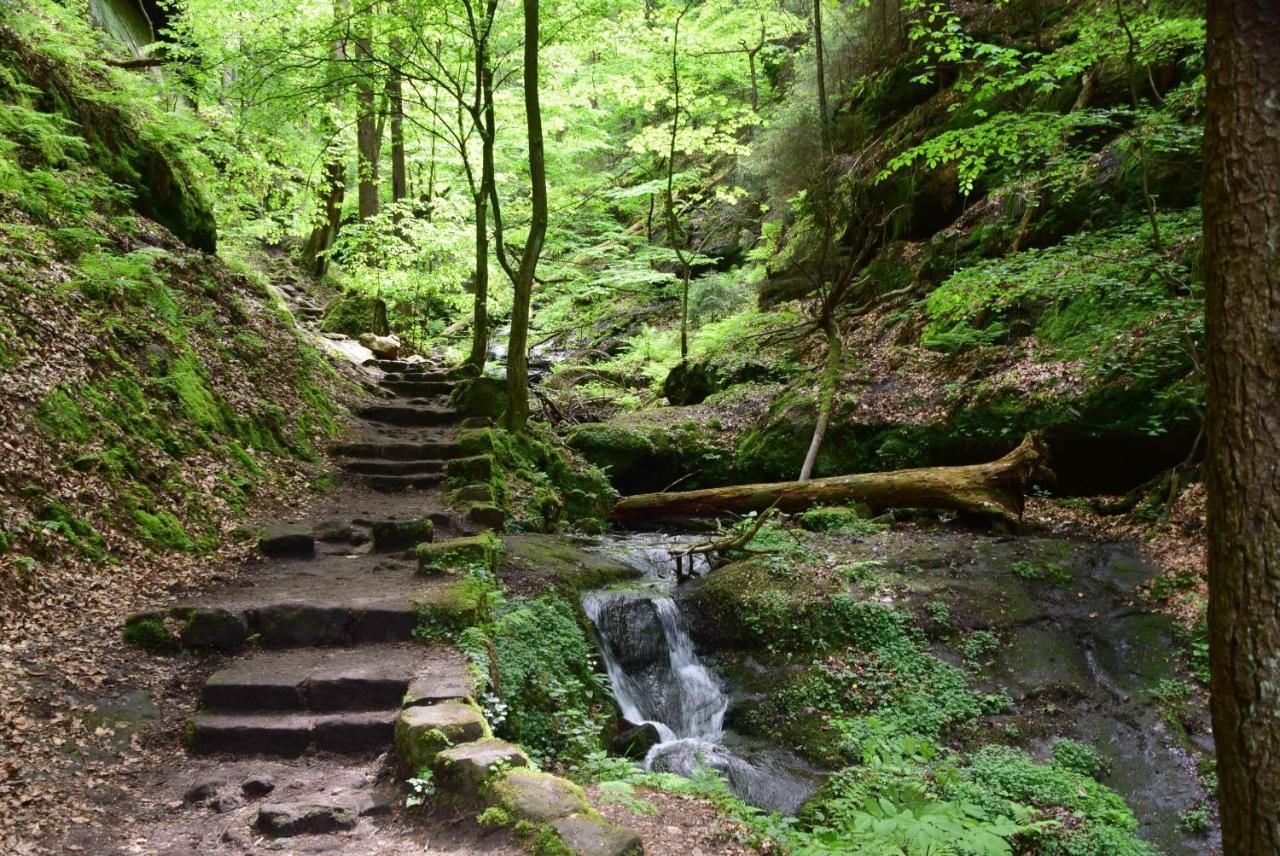 Cosis Lejlighed Hohnstein